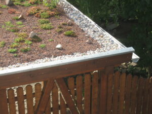 Dachbegrünung auf einem Carport