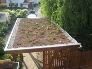 Dachbegrünung auf einem Carport